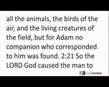 January 1 Genesis 1 and 2 from the Old Testament